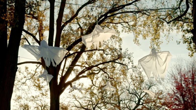 ghosts_on_trees_-_resized_for_cms.jpg ( Halloween 2026 - gho) ghosts on trees resized for cms