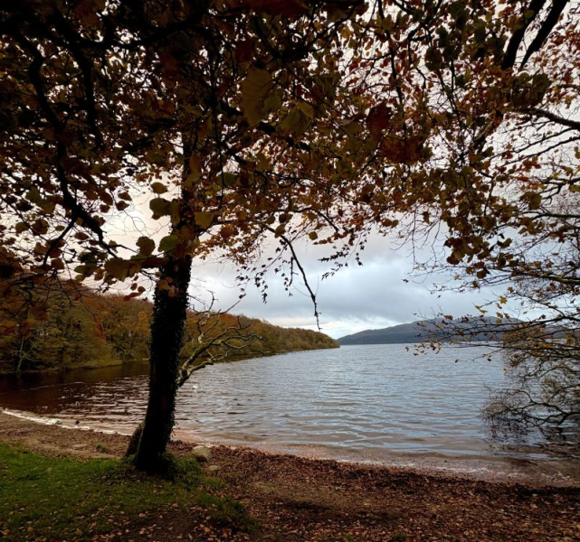 lake and bench resized