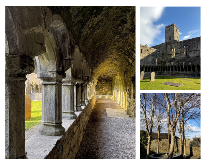 the_abbey.png ( WTS - The Abbey) the abbey