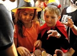 Make this Halloween one to remember with a family escape to Sligo Park Hotel. Splash in the pool, explore Sligo and enjoy time together this midterm.