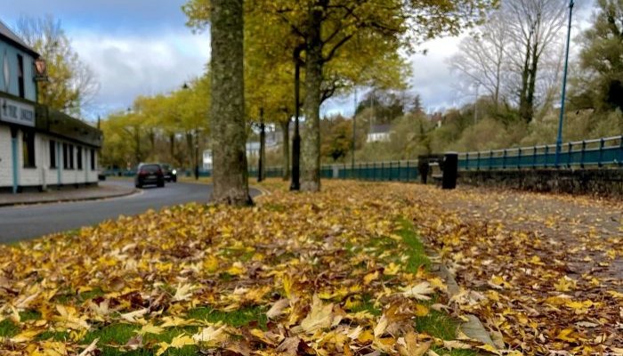 Your Perfect Autumn Sligo Escape