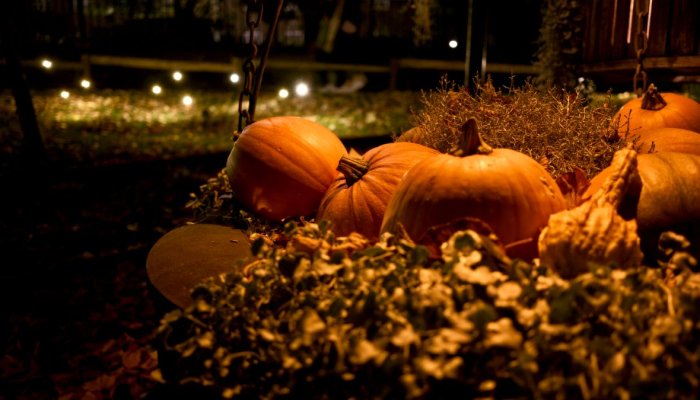 Halloween in Ireland