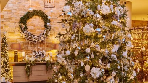 Festive Offers